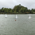 IMG 3645