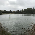 IMG 3651