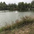 IMG 3653