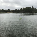 IMG 3655
