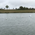 IMG 3659