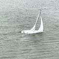 IMG 3672