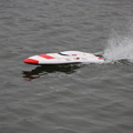 jfDominiqueL06