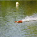P9010844