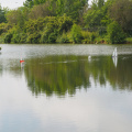 P6090933