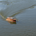 P7280751