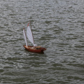 IMG 7454
