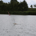 IMG 7461