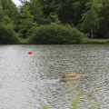 IMG 7465