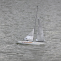 IMG-20250609-WA0010